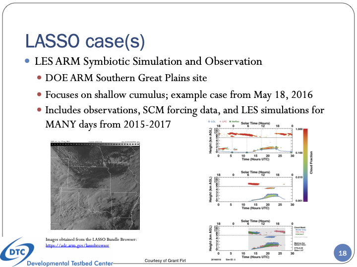 LES ARM Symbiotic Simulation and Observation